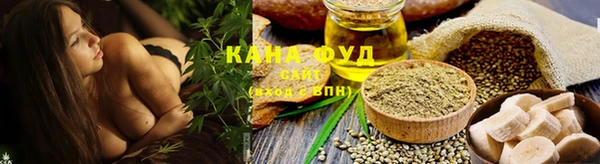 МДПВ Михайлов