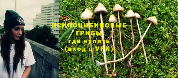 MESCALINE Надым