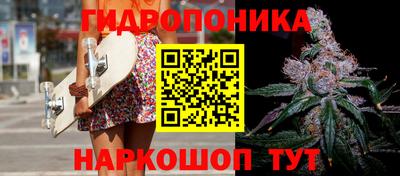 кокс Гусев