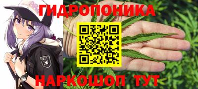 гидра Гусь-Хрустальный