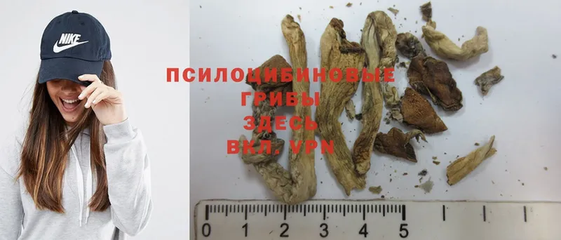 Галлюциногенные грибы Magic Shrooms  Кубинка 