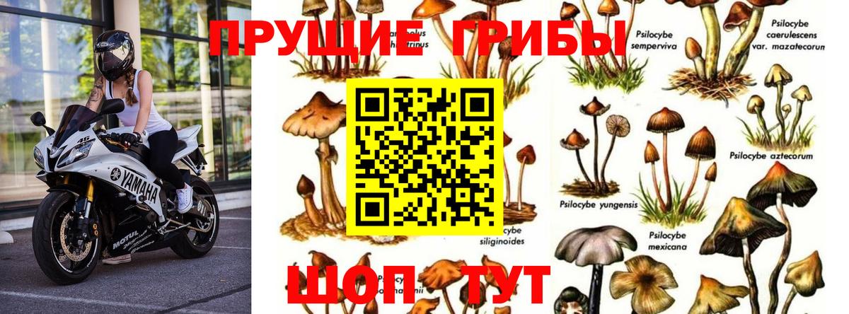 Псилоцибиновые грибы Magic Shrooms Кубинка